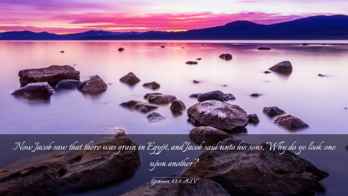 Picture 03 - Genesis 42:1 ASV Desktop Wallpaper - Now Jacob saw that there was grain in Egypt, and - Desktop Bible Verse Wallpaper