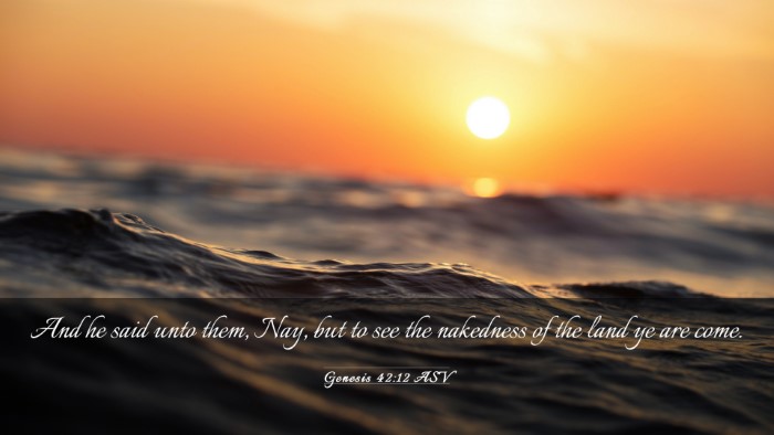 Picture 03 - Genesis 42:12 ASV Desktop Wallpaper - And he said unto them, Nay, but to see the - Desktop Bible Verse Wallpaper