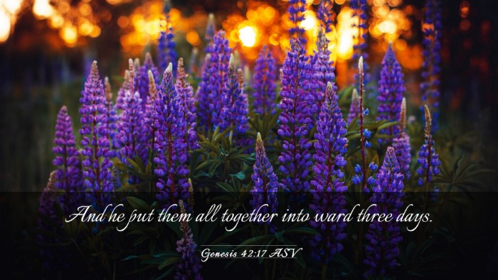 Picture 03 - Genesis 42:17 ASV Desktop Wallpaper - And he put them all together into ward three - Desktop Bible Verse Wallpaper