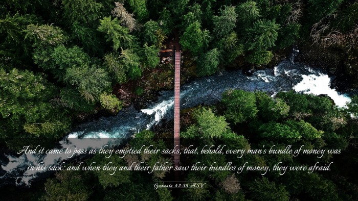 Picture 03 - Genesis 42:35 ASV Desktop Wallpaper - And it came to pass as they emptied their sacks, - Desktop Bible Verse Wallpaper