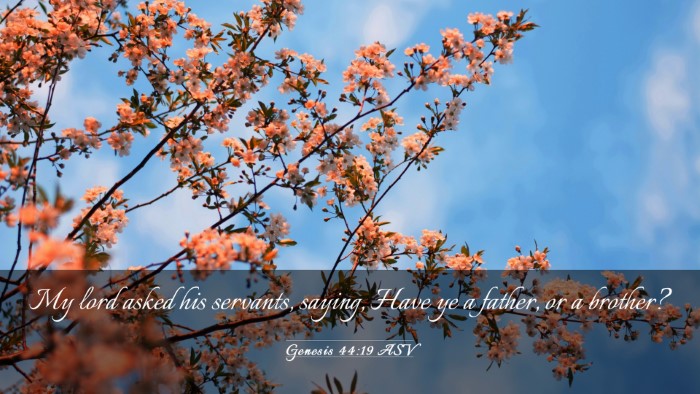 Picture 03 - Genesis 44:19 ASV Desktop Wallpaper - My lord asked his servants, saying, Have ye a - Desktop Bible Verse Wallpaper