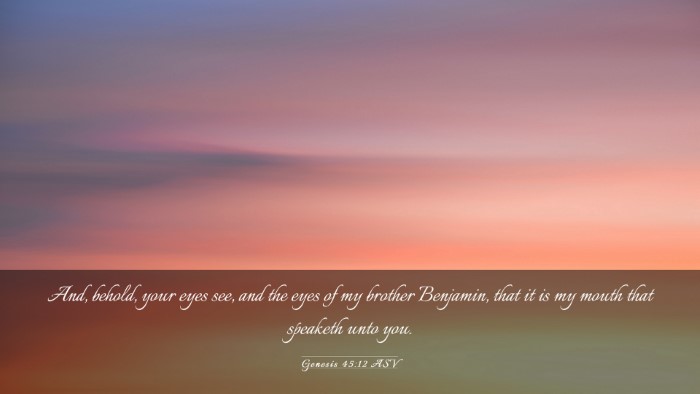 Picture 03 - Genesis 45:12 ASV Desktop Wallpaper - And, behold, your eyes see, and the eyes of my - Desktop Bible Verse Wallpaper