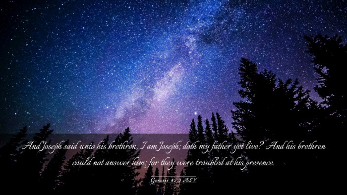 Picture 03 - Genesis 45:3 ASV Desktop Wallpaper - And Joseph said unto his brethren, I am Joseph; - Desktop Bible Verse Wallpaper