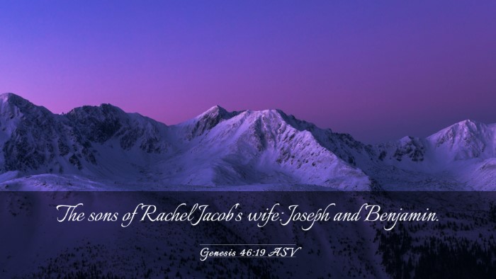Picture 03 - Genesis 46:19 ASV Desktop Wallpaper - The sons of Rachel Jacob's wife: Joseph and - Desktop Bible Verse Wallpaper