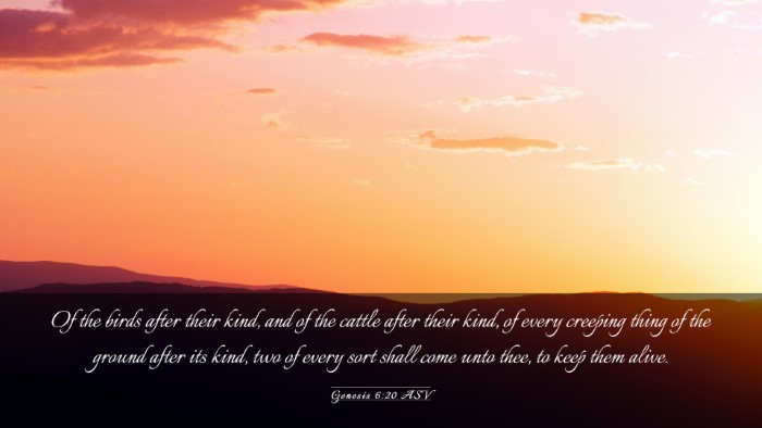 Picture 03 - Genesis 6:20 ASV Desktop Wallpaper - Of the birds after their kind, and of the cattle - Desktop Bible Verse Wallpaper