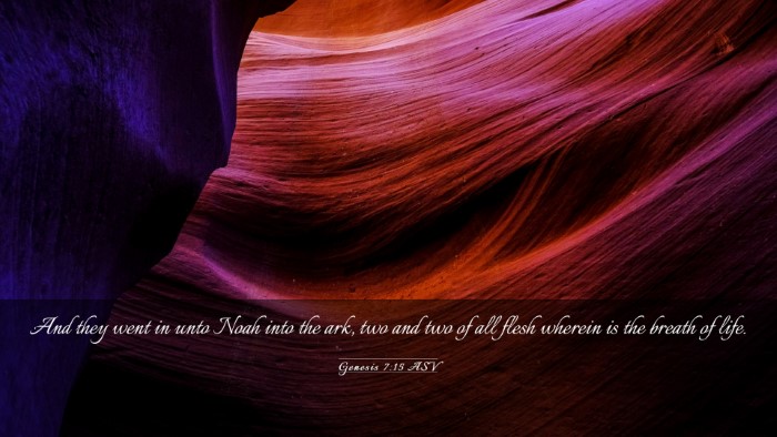 Picture 03 - Genesis 7:15 ASV Desktop Wallpaper - And they went in unto Noah into the ark, two and - Desktop Bible Verse Wallpaper