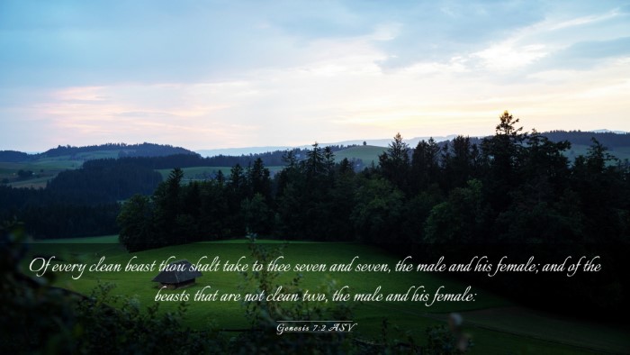 Picture 03 - Genesis 7:2 ASV Desktop Wallpaper - Of every clean beast thou shalt take to thee - Desktop Bible Verse Wallpaper