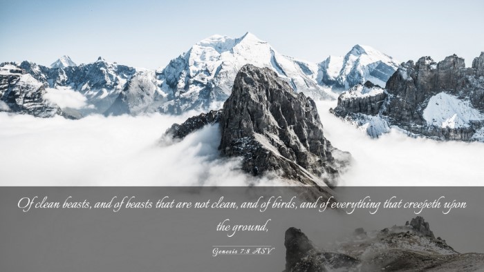 Picture 03 - Genesis 7:8 ASV Desktop Wallpaper - Of clean beasts, and of beasts that are not - Desktop Bible Verse Wallpaper
