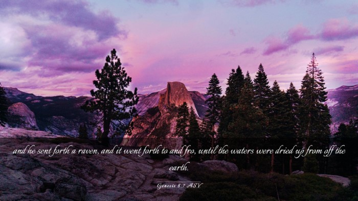 Picture 03 - Genesis 8:7 ASV Desktop Wallpaper - and he sent forth a raven, and it went forth to - Desktop Bible Verse Wallpaper