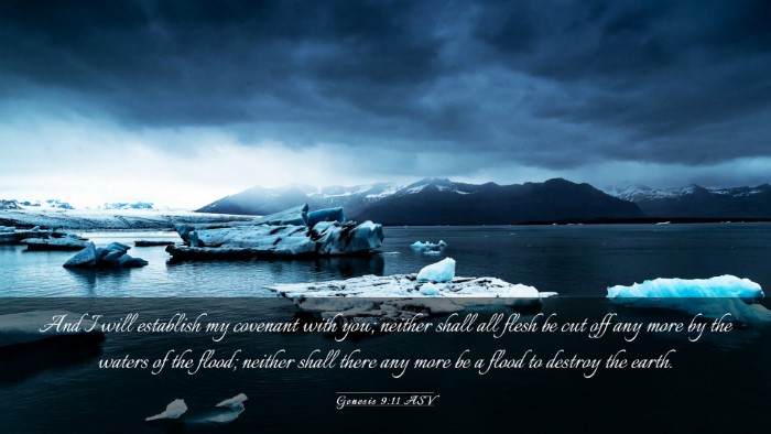Picture 03 - Genesis 9:11 ASV Desktop Wallpaper - And I will establish my covenant with you; - Desktop Bible Verse Wallpaper