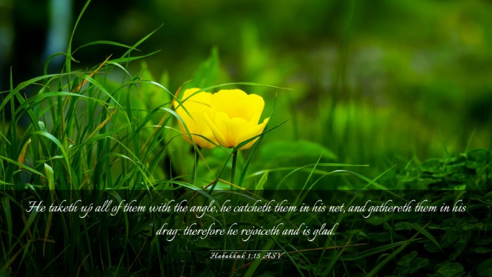 Picture 03 - Habakkuk 1:15 ASV Desktop Wallpaper - He taketh up all of them with the angle, he - Desktop Bible Verse Wallpaper