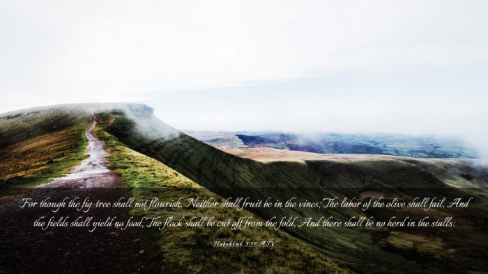 Picture 03 - Habakkuk 3:17 ASV Desktop Wallpaper - For though the fig-tree shall not flourish, - Desktop Bible Verse Wallpaper