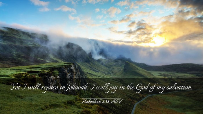 Picture 03 - Habakkuk 3:18 ASV Desktop Wallpaper - Yet I will rejoice in Jehovah, I will joy in the - Desktop Bible Verse Wallpaper