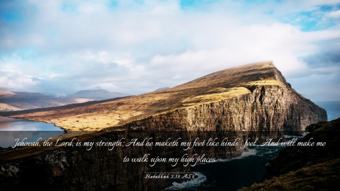 Picture 03 - Habakkuk 3:19 ASV Desktop Wallpaper - Jehovah, the Lord, is my strength; And he maketh - Desktop Bible Verse Wallpaper