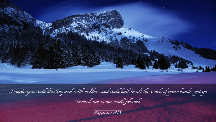 Picture 03 - Haggai 2:17 ASV Desktop Wallpaper - I smote you with blasting and with mildew and - Desktop Bible Verse Wallpaper