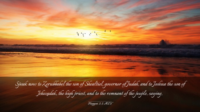 Picture 03 - Haggai 2:2 ASV Desktop Wallpaper - Speak now to Zerubbabel the son of Shealtiel, - Desktop Bible Verse Wallpaper