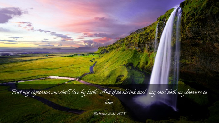 Picture 03 - Hebrews 10:38 ASV Desktop Wallpaper - But my righteous one shall live by faith: And if - Desktop Bible Verse Wallpaper