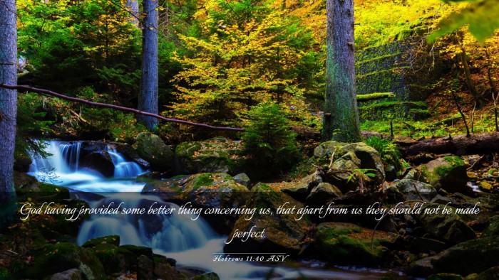 Picture 03 - Hebrews 11:40 ASV Desktop Wallpaper - God having provided some better thing concerning - Desktop Bible Verse Wallpaper