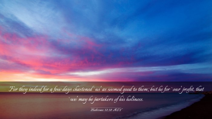 Picture 03 - Hebrews 12:10 ASV Desktop Wallpaper - For they indeed for a few days chastened `us' as - Desktop Bible Verse Wallpaper