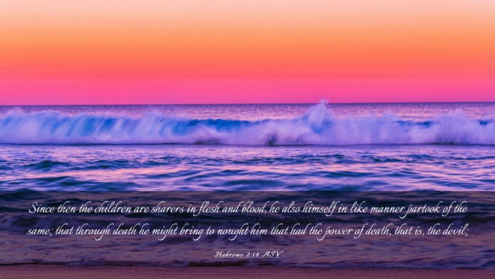 Picture 03 - Hebrews 2:14 ASV Desktop Wallpaper - Since then the children are sharers in flesh and - Desktop Bible Verse Wallpaper