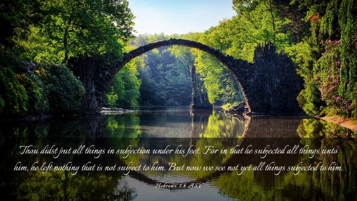 Picture 03 - Hebrews 2:8 ASV Desktop Wallpaper - Thou didst put all things in subjection under his - Desktop Bible Verse Wallpaper