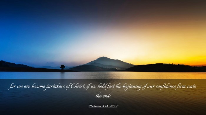 Picture 03 - Hebrews 3:14 ASV Desktop Wallpaper - for we are become partakers of Christ, if we hold - Desktop Bible Verse Wallpaper