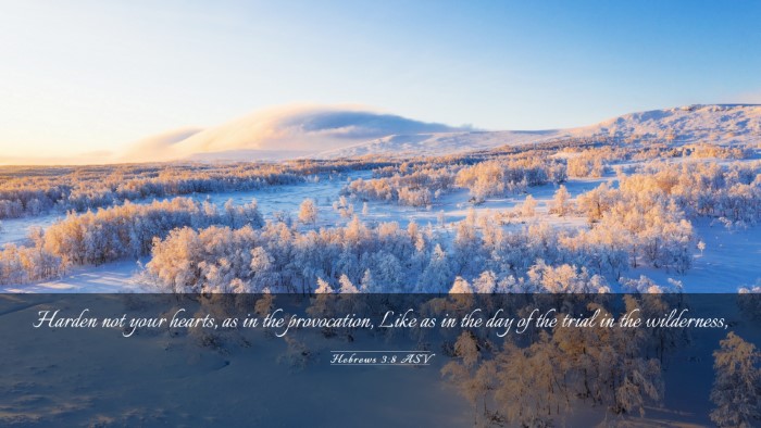 Picture 03 - Hebrews 3:8 ASV Desktop Wallpaper - Harden not your hearts, as in the provocation, - Desktop Bible Verse Wallpaper