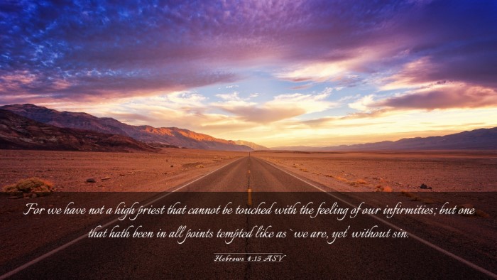 Picture 03 - Hebrews 4:15 ASV Desktop Wallpaper - For we have not a high priest that cannot be - Desktop Bible Verse Wallpaper