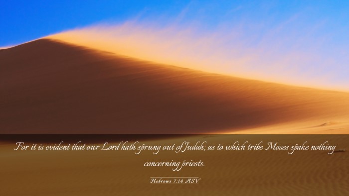 Picture 03 - Hebrews 7:14 ASV Desktop Wallpaper - For it is evident that our Lord hath sprung out - Desktop Bible Verse Wallpaper