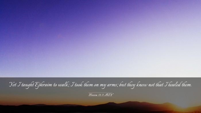 Picture 03 - Hosea 11:3 ASV Desktop Wallpaper - Yet I taught Ephraim to walk; I took them on my - Desktop Bible Verse Wallpaper
