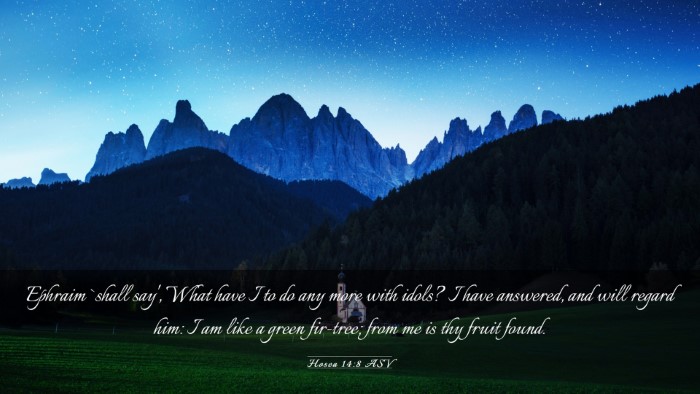 Picture 03 - Hosea 14:8 ASV Desktop Wallpaper - Ephraim `shall say', What have I to do any more - Desktop Bible Verse Wallpaper