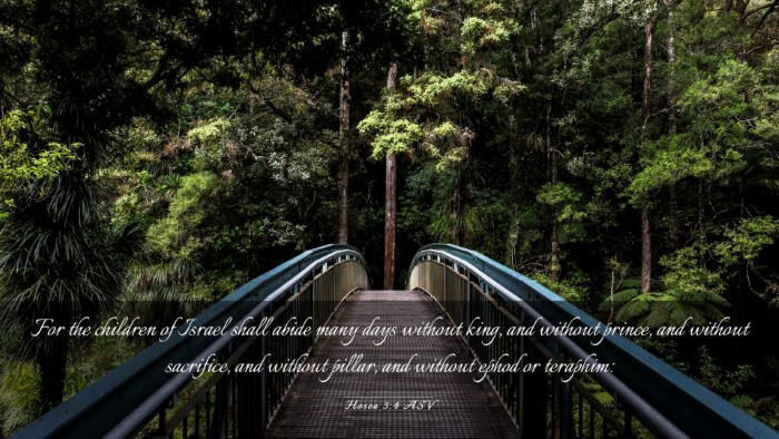 Picture 03 - Hosea 3:4 ASV Desktop Wallpaper - For the children of Israel shall abide many days - Desktop Bible Verse Wallpaper