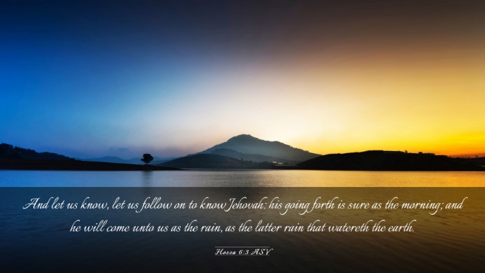 Picture 03 - Hosea 6:3 ASV Desktop Wallpaper - And let us know, let us follow on to know - Desktop Bible Verse Wallpaper