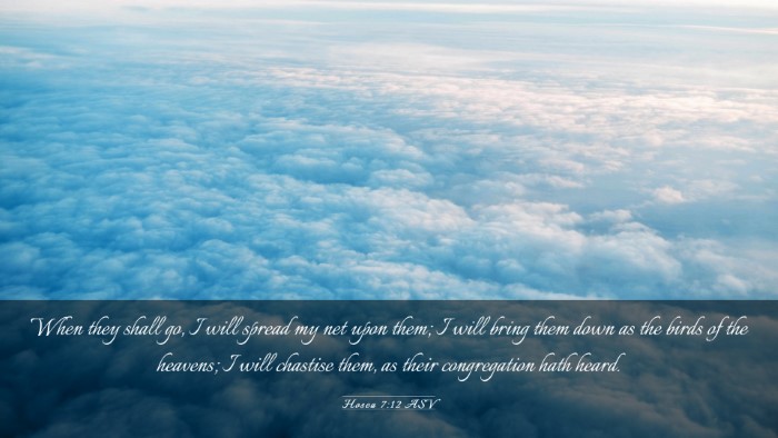 Picture 03 - Hosea 7:12 ASV Desktop Wallpaper - When they shall go, I will spread my net upon - Desktop Bible Verse Wallpaper