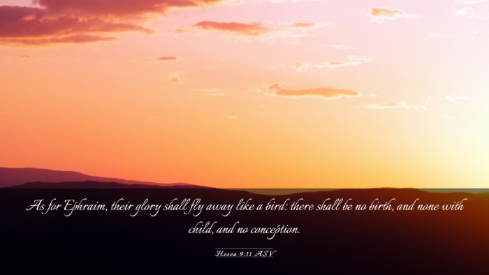 Picture 03 - Hosea 9:11 ASV Desktop Wallpaper - As for Ephraim, their glory shall fly away like a - Desktop Bible Verse Wallpaper