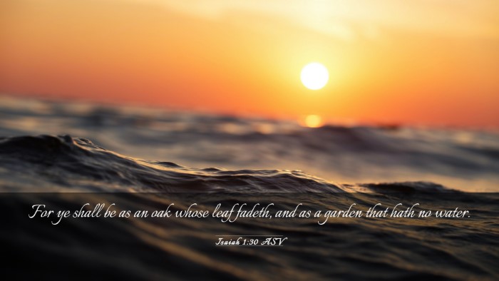 Picture 03 - Isaiah 1:30 ASV Desktop Wallpaper - For ye shall be as an oak whose leaf fadeth, and - Desktop Bible Verse Wallpaper