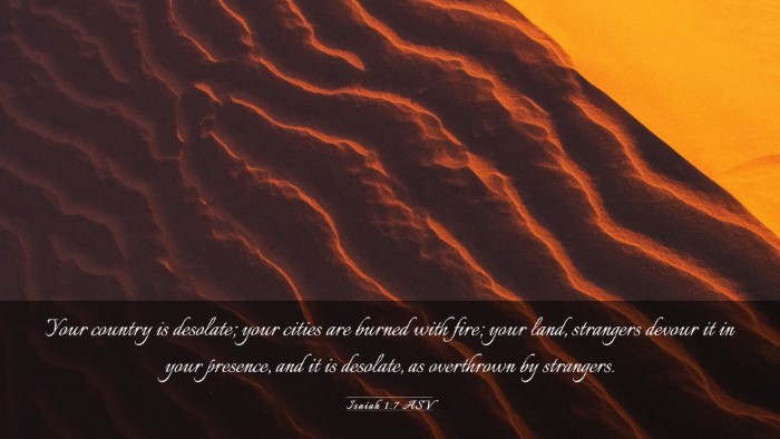 Picture 03 - Isaiah 1:7 ASV Desktop Wallpaper - Your country is desolate; your cities are burned - Desktop Bible Verse Wallpaper