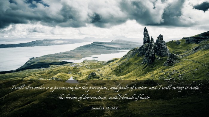 Picture 03 - Isaiah 14:23 ASV Desktop Wallpaper - I will also make it a possession for the - Desktop Bible Verse Wallpaper