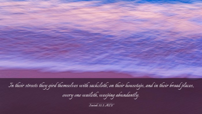 Picture 03 - Isaiah 15:3 ASV Desktop Wallpaper - In their streets they gird themselves with - Desktop Bible Verse Wallpaper