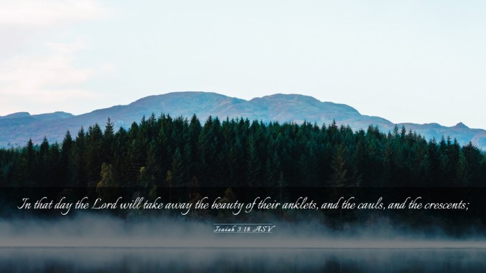 Picture 03 - Isaiah 3:18 ASV Desktop Wallpaper - In that day the Lord will take away the beauty of - Desktop Bible Verse Wallpaper