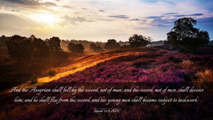 Picture 03 - Isaiah 31:8 ASV Desktop Wallpaper - And the Assyrian shall fall by the sword, not of - Desktop Bible Verse Wallpaper