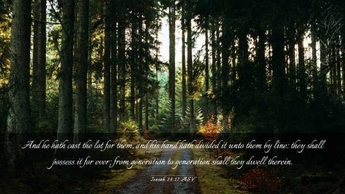 Picture 03 - Isaiah 34:17 ASV Desktop Wallpaper - And he hath cast the lot for them, and his hand - Desktop Bible Verse Wallpaper