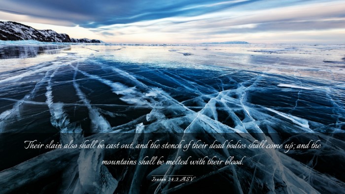 Picture 03 - Isaiah 34:3 ASV Desktop Wallpaper - Their slain also shall be cast out, and the - Desktop Bible Verse Wallpaper