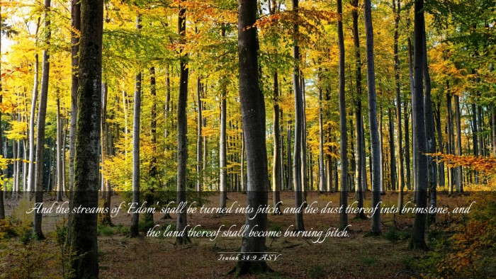 Picture 03 - Isaiah 34:9 ASV Desktop Wallpaper - And the streams of `Edom' shall be turned into - Desktop Bible Verse Wallpaper