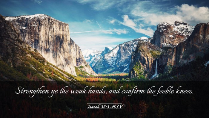 Picture 03 - Isaiah 35:3 ASV Desktop Wallpaper - Strengthen ye the weak hands, and confirm the - Desktop Bible Verse Wallpaper