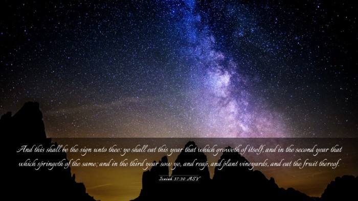 Picture 03 - Isaiah 37:30 ASV Desktop Wallpaper - And this shall be the sign unto thee: ye shall - Desktop Bible Verse Wallpaper