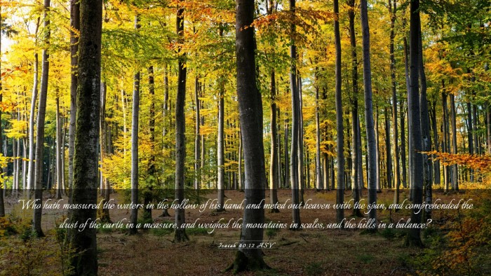 Picture 03 - Isaiah 40:12 ASV Desktop Wallpaper - Who hath measured the waters in the hollow of his - Desktop Bible Verse Wallpaper