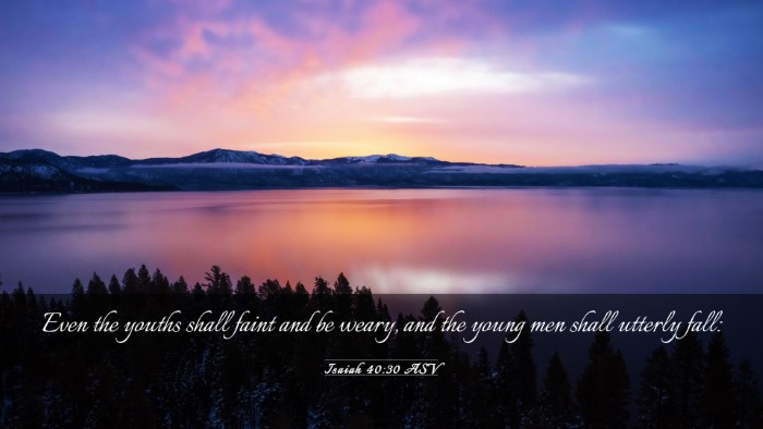 Picture 03 - Isaiah 40:30 ASV Desktop Wallpaper - Even the youths shall faint and be weary, and the - Desktop Bible Verse Wallpaper