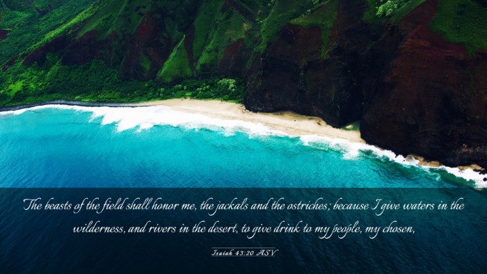 Picture 03 - Isaiah 43:20 ASV Desktop Wallpaper - The beasts of the field shall honor me, the - Desktop Bible Verse Wallpaper