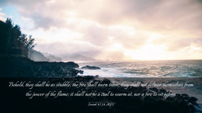 Picture 03 - Isaiah 47:14 ASV Desktop Wallpaper - Behold, they shall be as stubble; the fire shall - Desktop Bible Verse Wallpaper